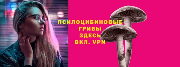 гидра Нефтегорск