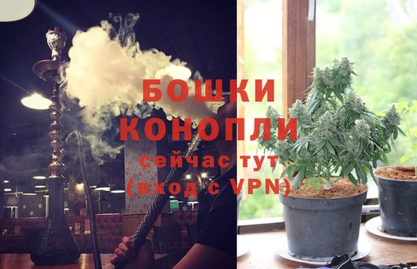 ECSTASY Нея